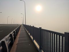 -星海湾跨海大桥