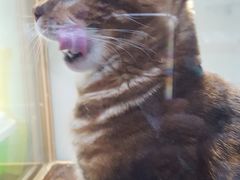 -乐宠宠物店(世纪金源店)