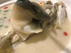 -肆月河豚·新淮扬(金融街店)