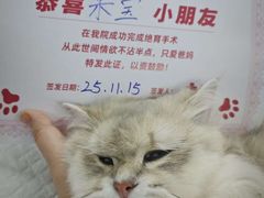 -御宝贝24h宠物医院·转诊中心·CT核磁血透中心(厦门总院)