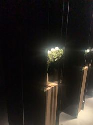 点击看大图 -美壹生皮肤管理中心