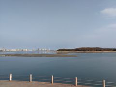 -琴岛之星摩天轮