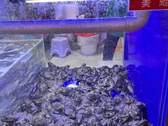-石锅苗苗鱼(武汉首店)