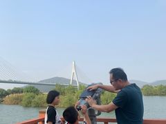-芒洲湿地公园