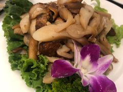 -阿鹏故事野生菌火锅(双廊古镇店)
