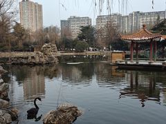 -西苑公园