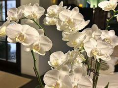 -Lazy Time Massage南亚按摩小馆(大悦城店)