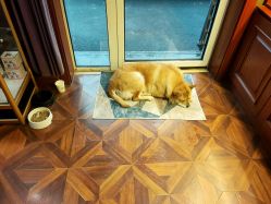 -米莱摄影写真(五大道别墅店)