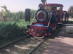 -永定河休闲森林公园