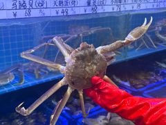 -震海贝烤贝·民俗特色店(延吉总店)