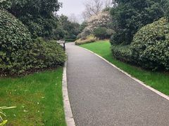 -桃花岛景观公园