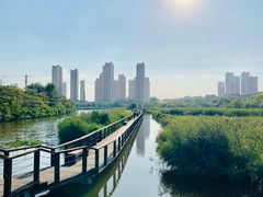 -前关湿地公园