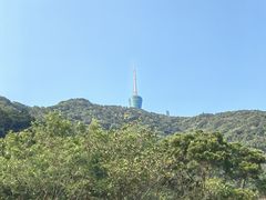 -梧桐山风景名胜区