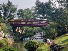 -羊山湖公园