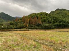-山沟沟景区