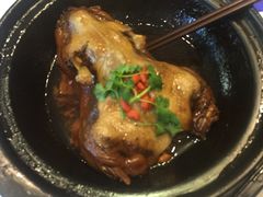 -天怡·鱼工厂(梅溪湖店)