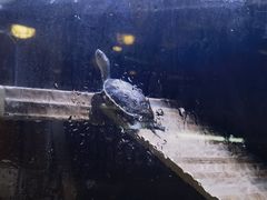 -宠物世家(仲盛世界商城店)