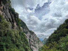 -青峰峡国家森林公园