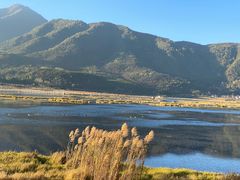 -腾冲北海湿地