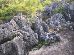 -千岛湖石林