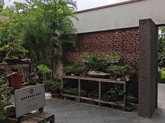 -陈家山荷花公园