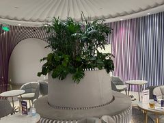 -LANN I 蘭 SPA(陆家嘴中心店)