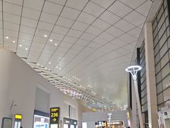 -郑州新郑国际机场-T2航站楼