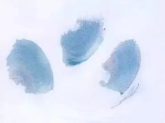 -八哥美术·成人美术画室(总校区)