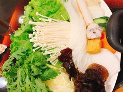 经典蔬菜拼盘-呷哺呷哺(枫蓝国际店)