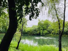 -西溪国家湿地公园