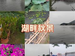 -东钱湖旅游度假区