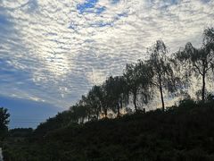 -洨河生态公园