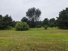 -秦始皇帝陵博物院-丽山园