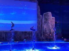 -华夏文旅海洋公园