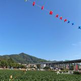 草莓季🍓遛娃圣地🍓