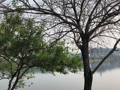 -水濂山水库景点停车场
