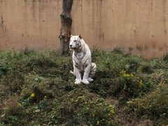 -宁波野生动物园