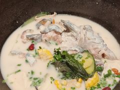 -鲜潭蒸汽石锅鱼(五道口购物中心店)