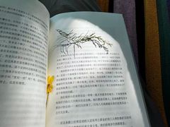 -宝藏绿洲(万象前海店)