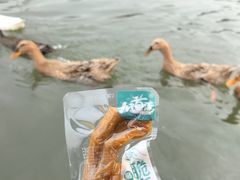 -木兰水镇旅游景区