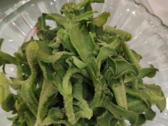 北极冰草沙拉-玉林烤鸭店(定福庄店)
