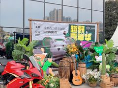 -成都泰迪熊博物馆