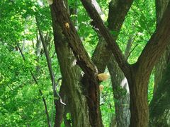 -青峰峡国家森林公园