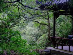 -西岭雪山大飞水景区