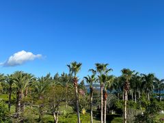 -大堂酒廊·亚龙湾万豪度假酒店