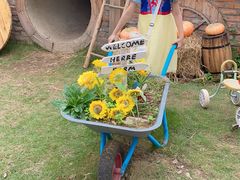 -HERRE·FARM 赫尔露营农场·团建聚会包场