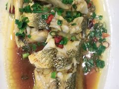 -金海湾海鲜排档(朱家尖店)