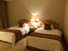 -南京维景国际大酒店(南京博物院店)