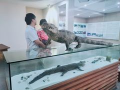 -中国扬子鳄村