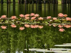 -白鹭湾湿地公园
